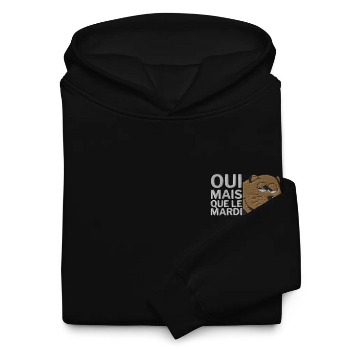 OUI MAIS EN HOODIE - HOODIE UNISEXE product image (2)