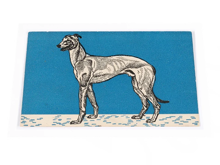 Greyhound II Poster product image (2)