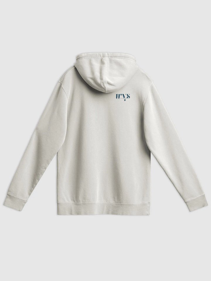 WYS Kind to Myself Hoodie product image (2)
