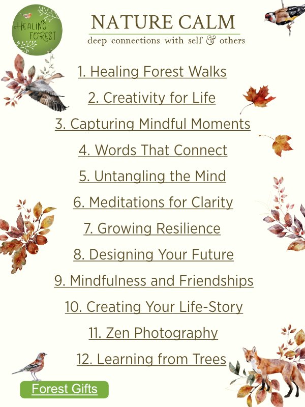 Nature Calm - A Journey of Change product image (2)