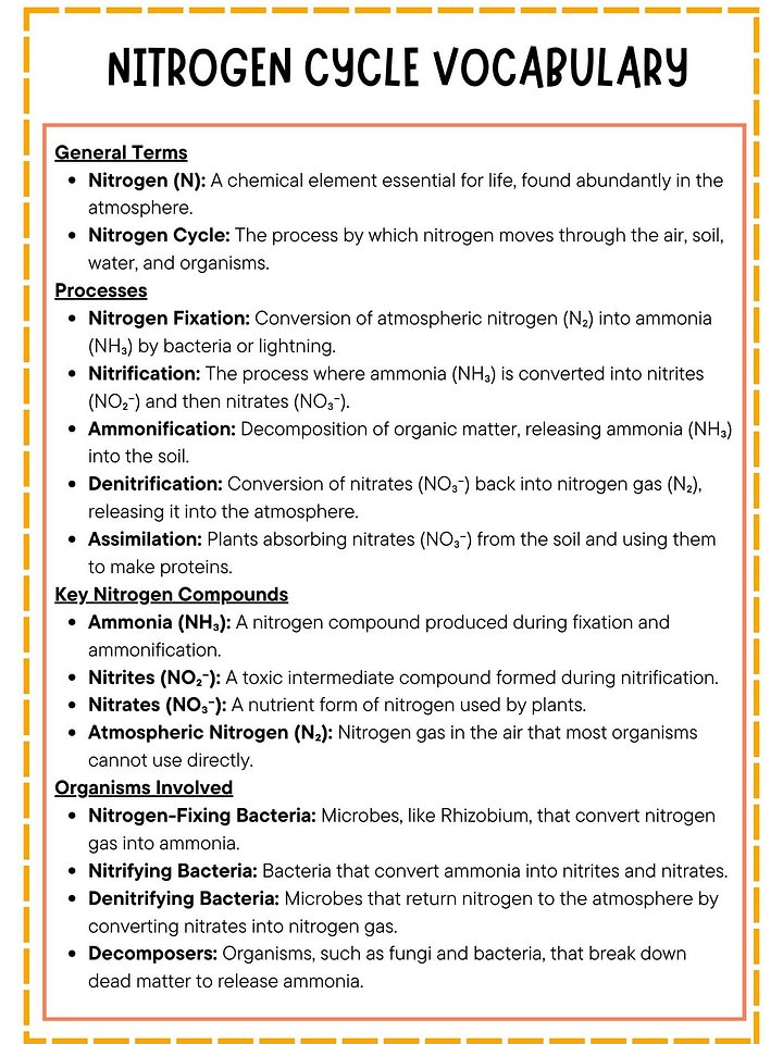 Nitrogen Cycle Vocabulary List with Definitions product image (1)