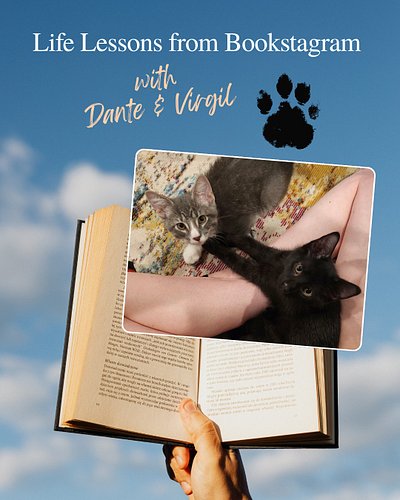 Life Lessons from Bookstagram

🐈‍⬛with Dante & Virgil🐈

“Never yuck someone’s yum. After all, cats lick their butts, and you ...