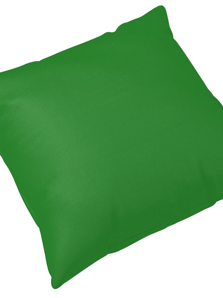 Columbia Road Market Logo Print Pillow (Green) product image (2)