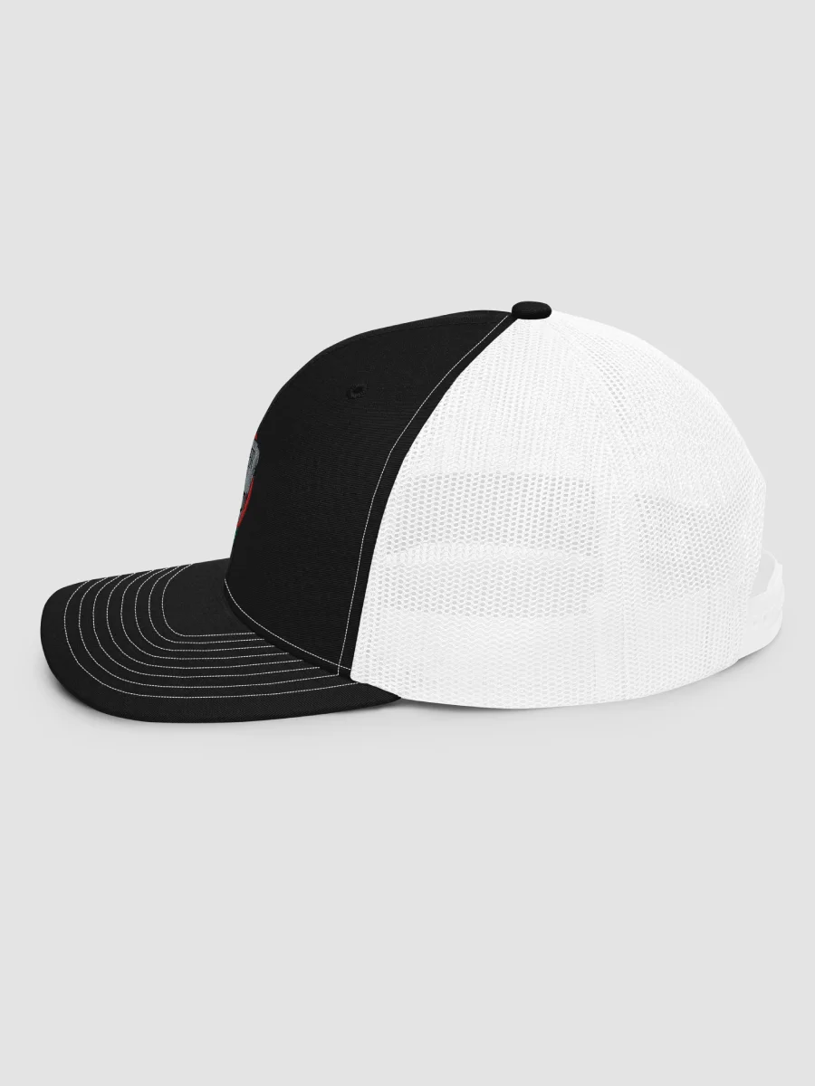 Jeeper Gary V1 Snapback Cap - Richardson 112 product image (6)