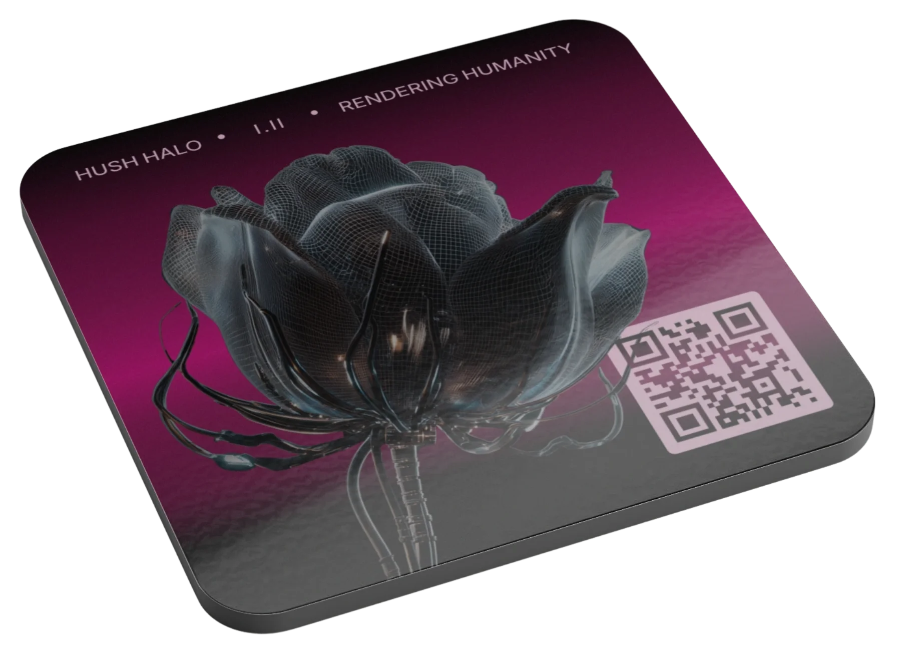 Rendering Humanity, COASTER + Daily Poetry Experience [AUDIO] product image (1)