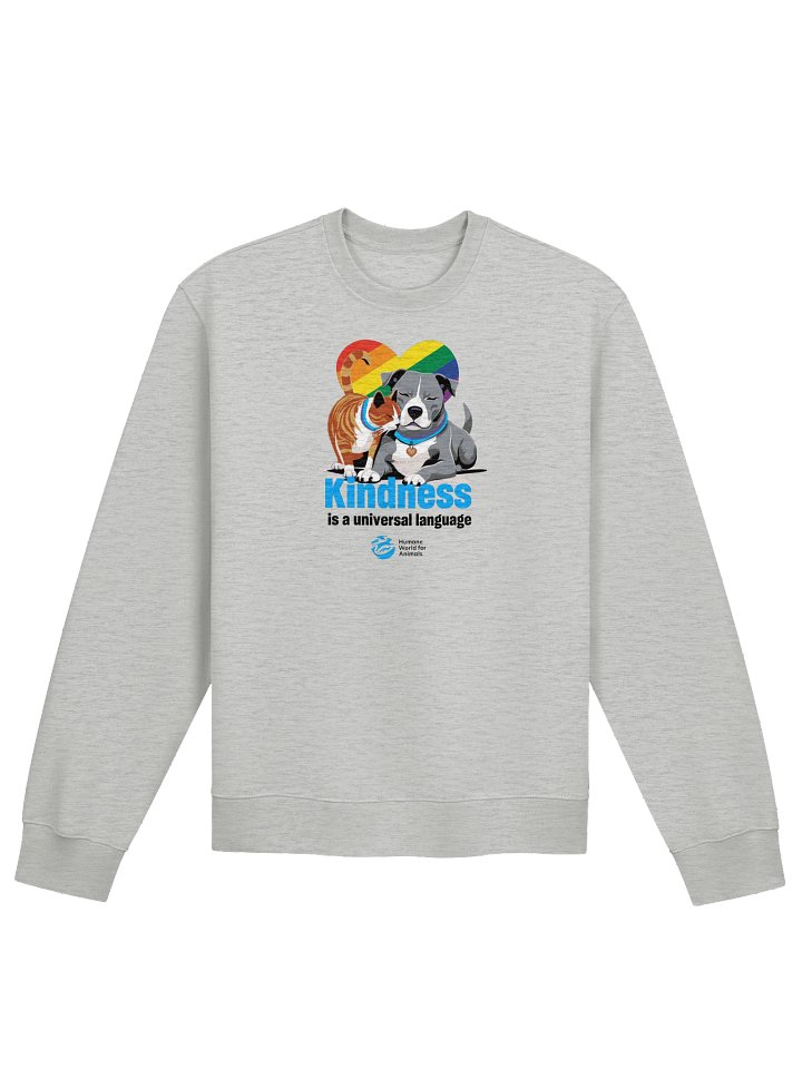 Kindness is a universal language rainbow heart - Sweatshirt product image (1)