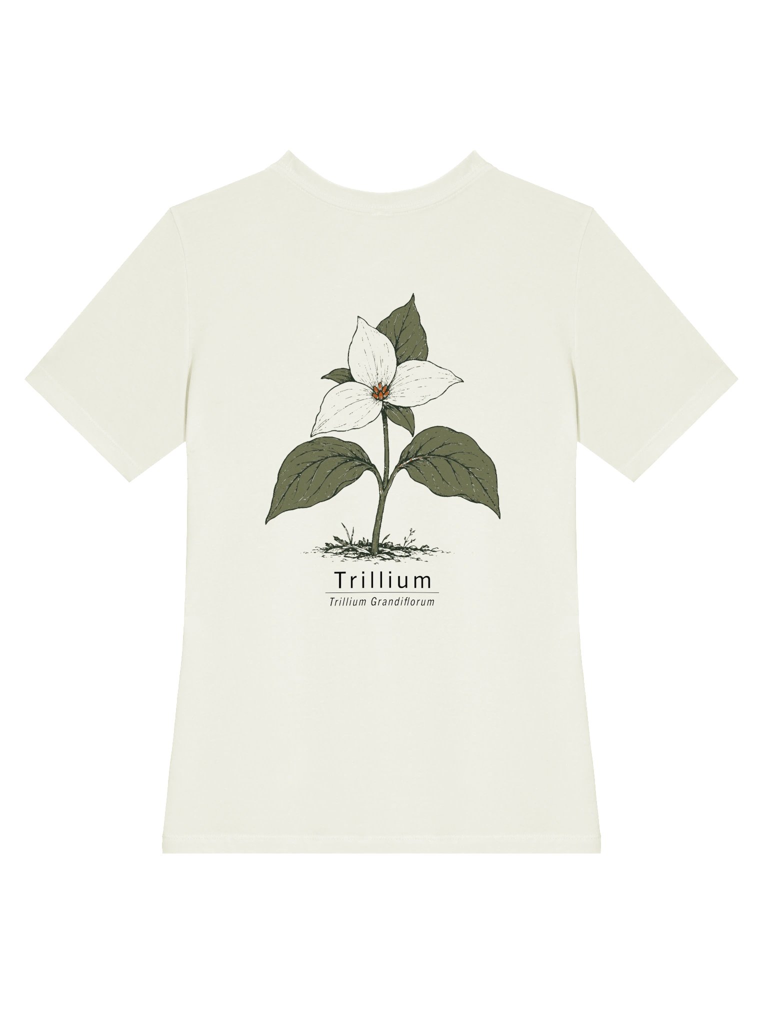 Trillium Women's Relaxed Tee product image (4)