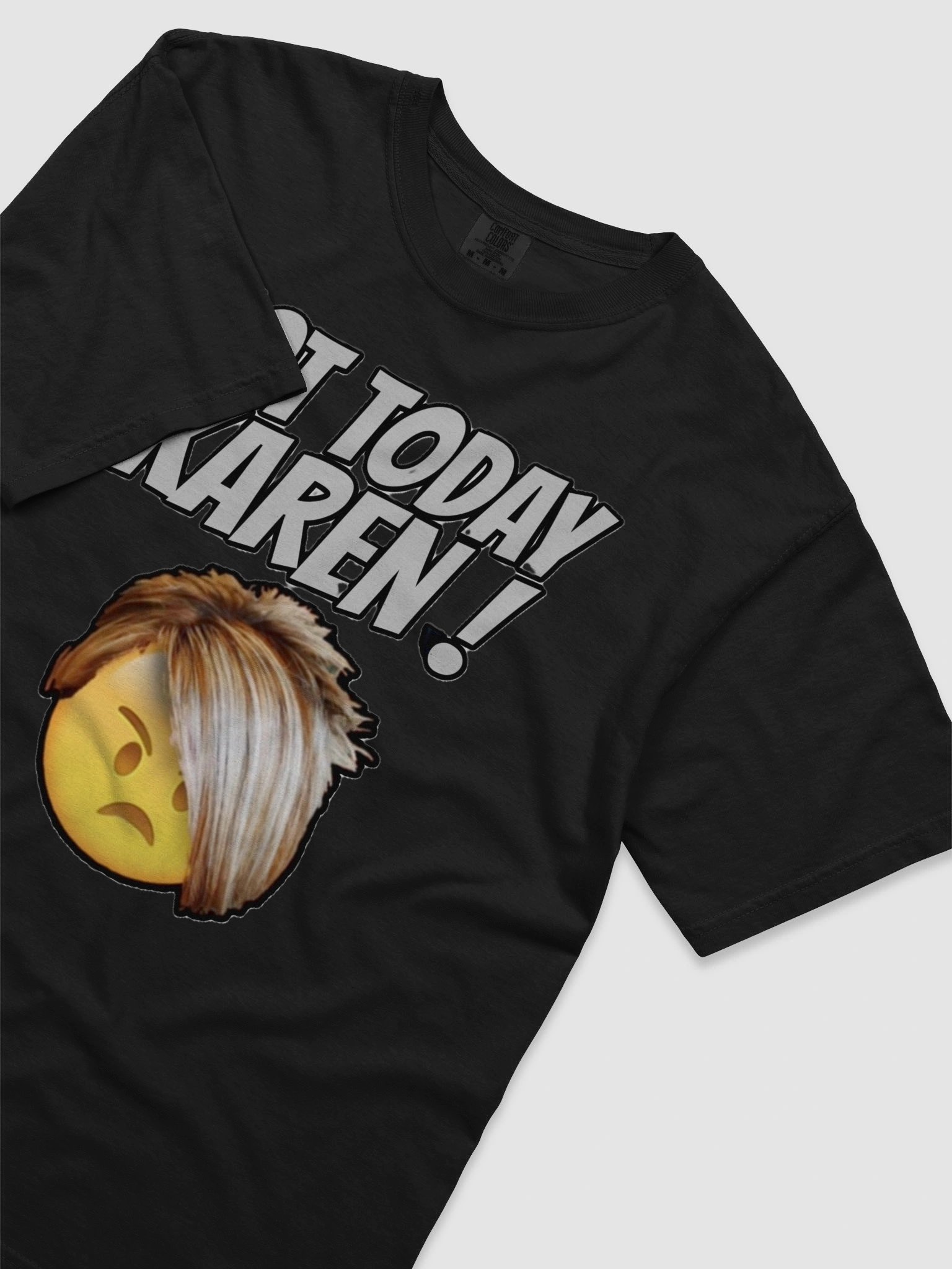 NOT TODAY KAREN! product image (59)
