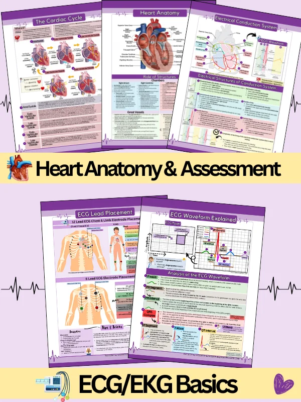 ECG/EKG Interpretation Study Guide & Workbook by Nurse Sarah® (Digital) product image (3)