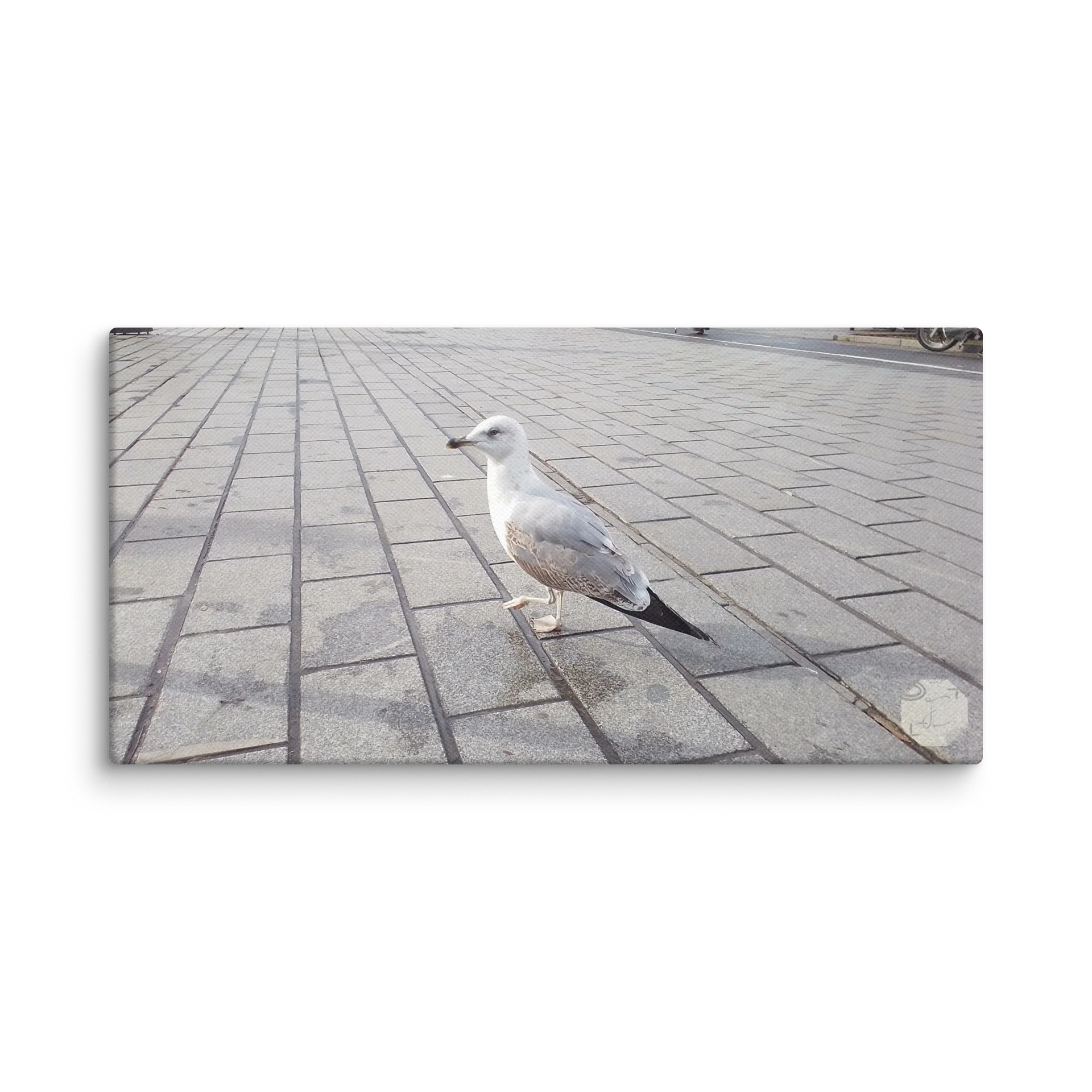 Larus A.- Canvas Fine Art product image (2)