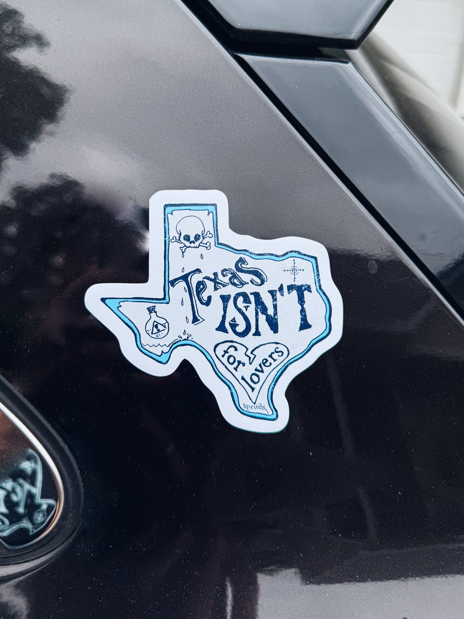 "Texas Isn't For Lovers" magnet product image (4)