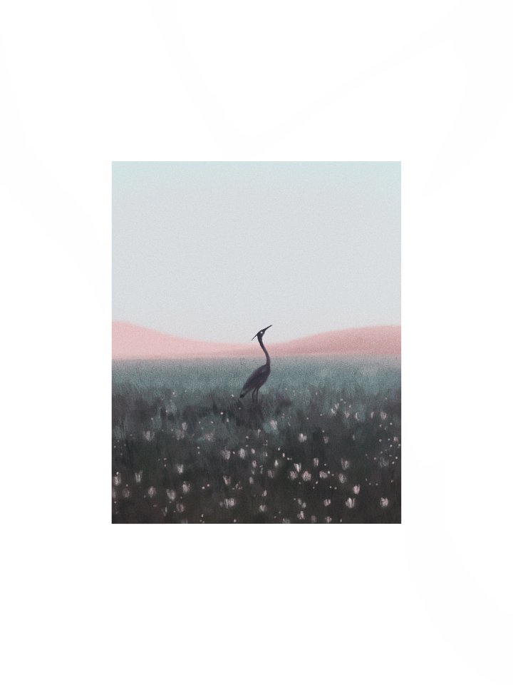 Crane in Flower Field product image (1)