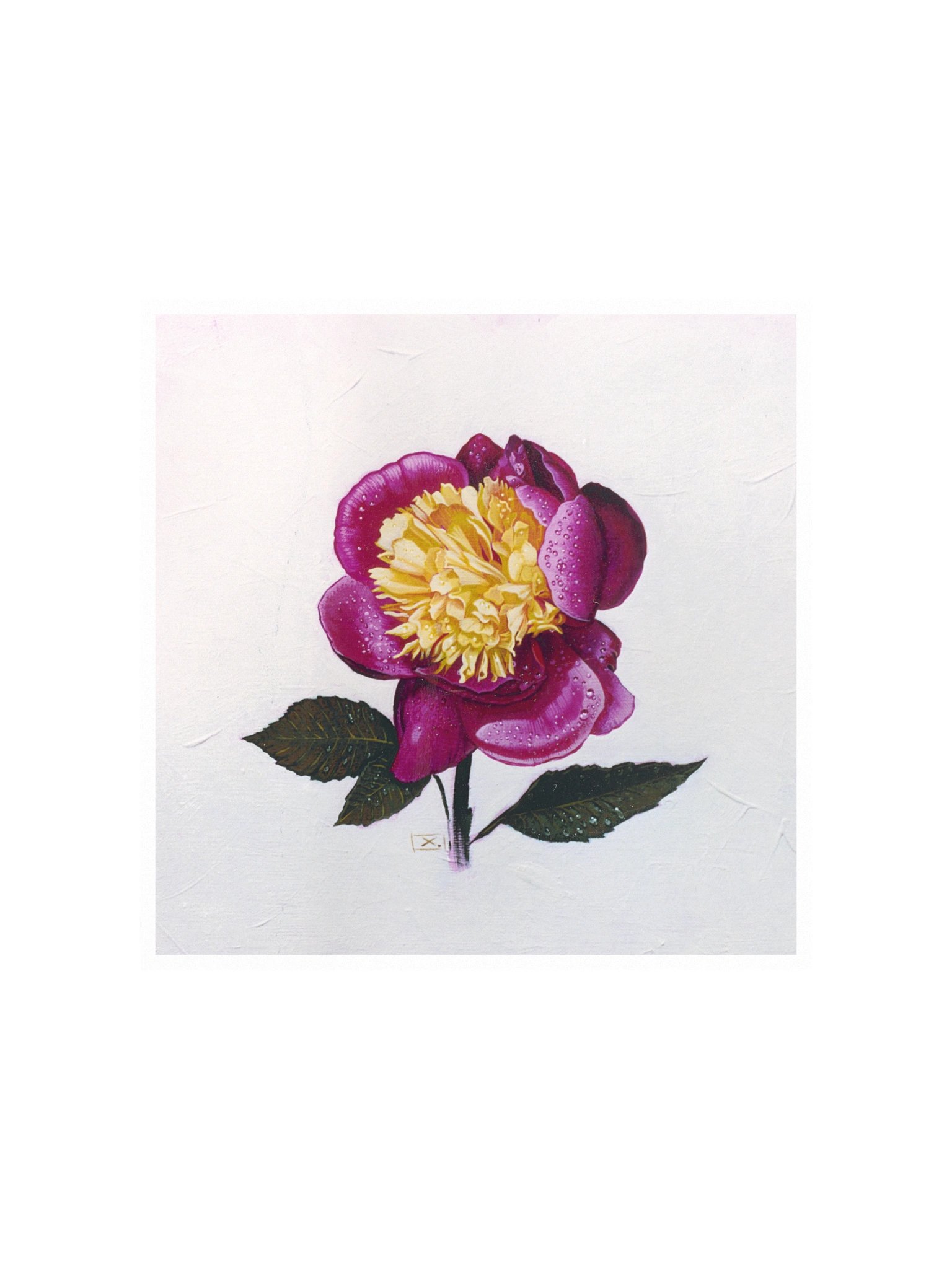 Peony After the Rain product image (1)