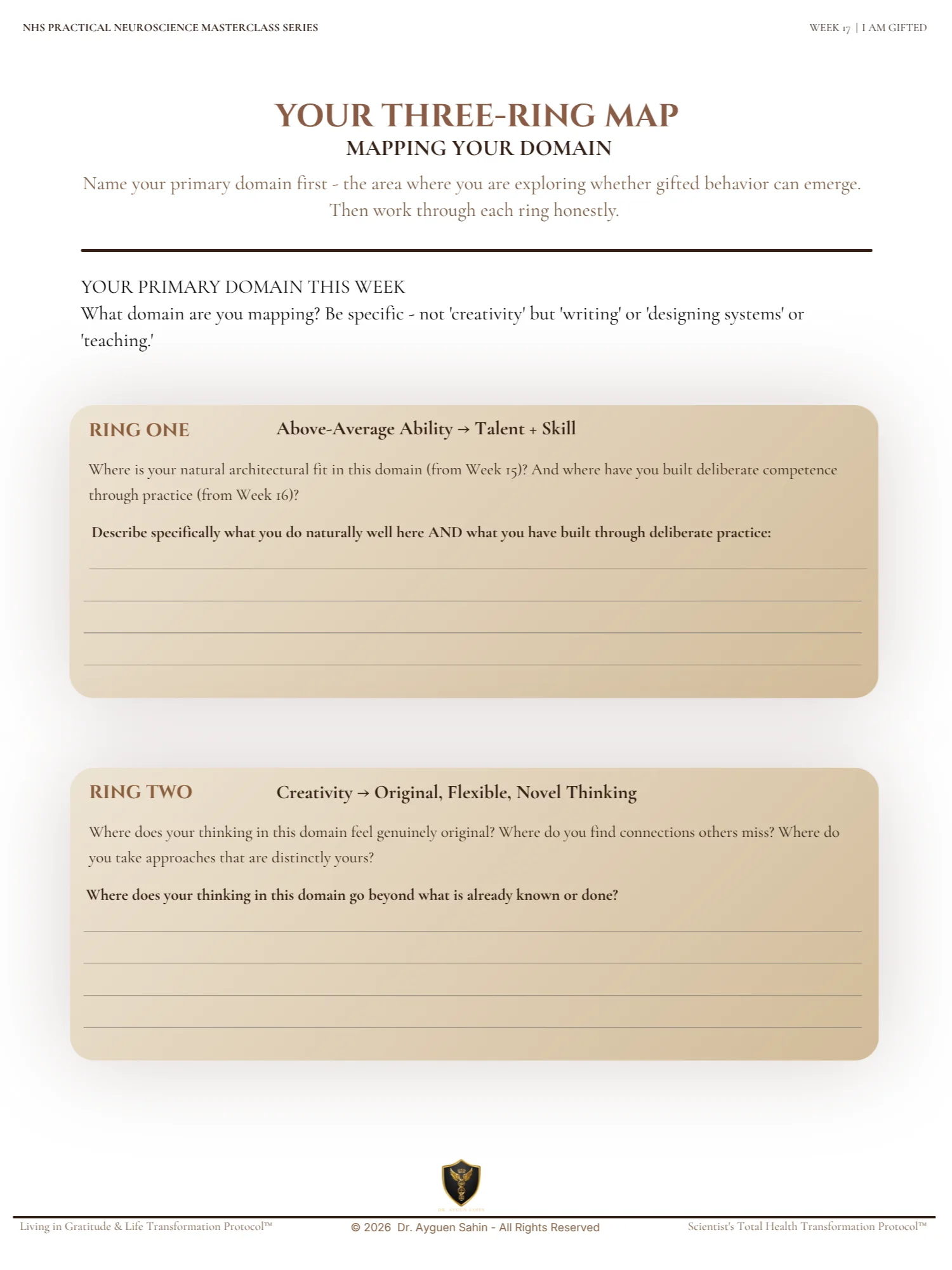 GIFT INTEGRATION AUDIT product image (5)