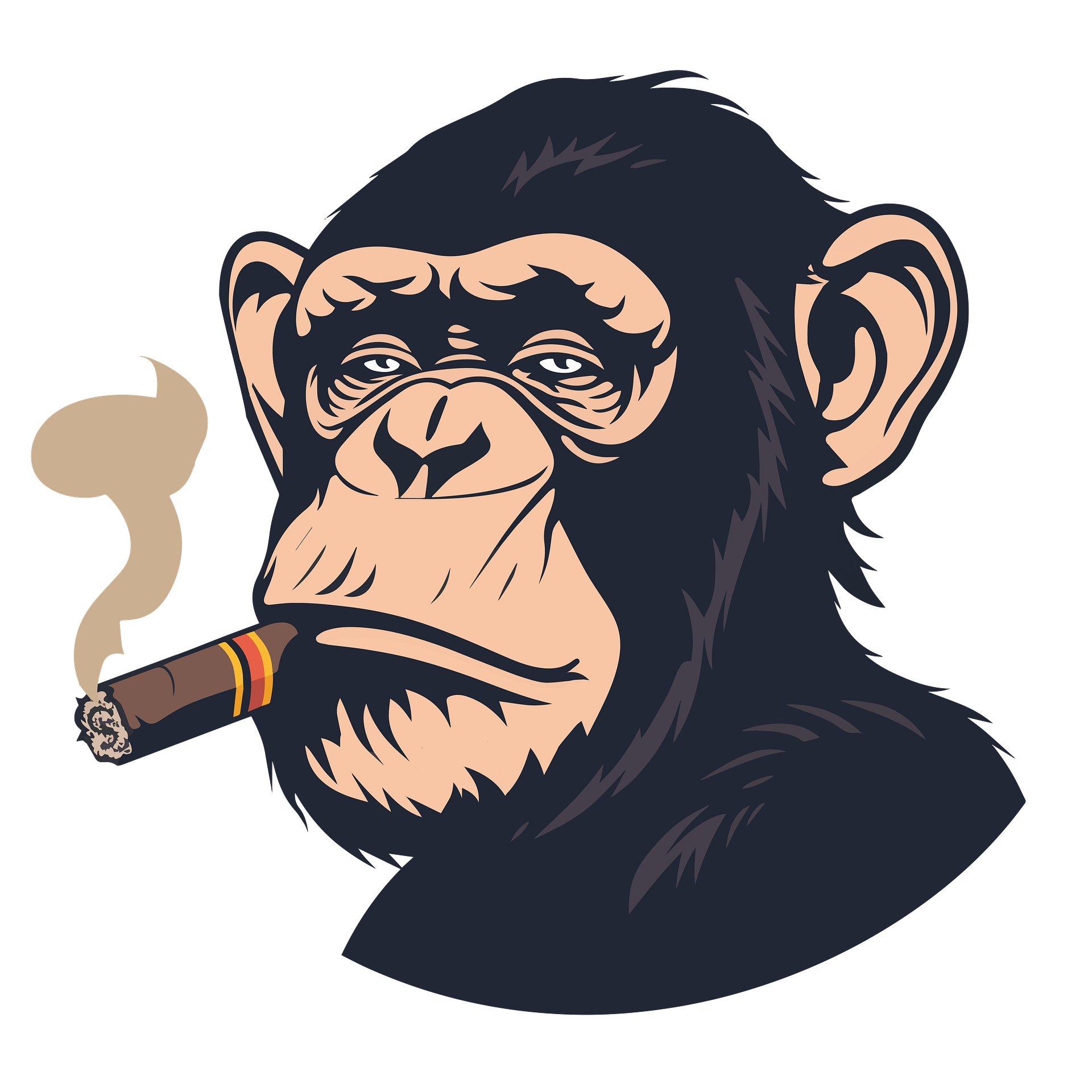 Badass Chimp - Cotton Tee product image (2)