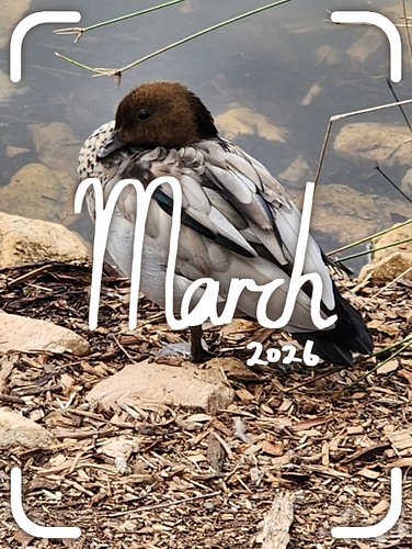 March Photodump 📸

Work was a bit crazy this month so I read a lot of books. 
Don’t look at the typos, I didn’t notice them u...
