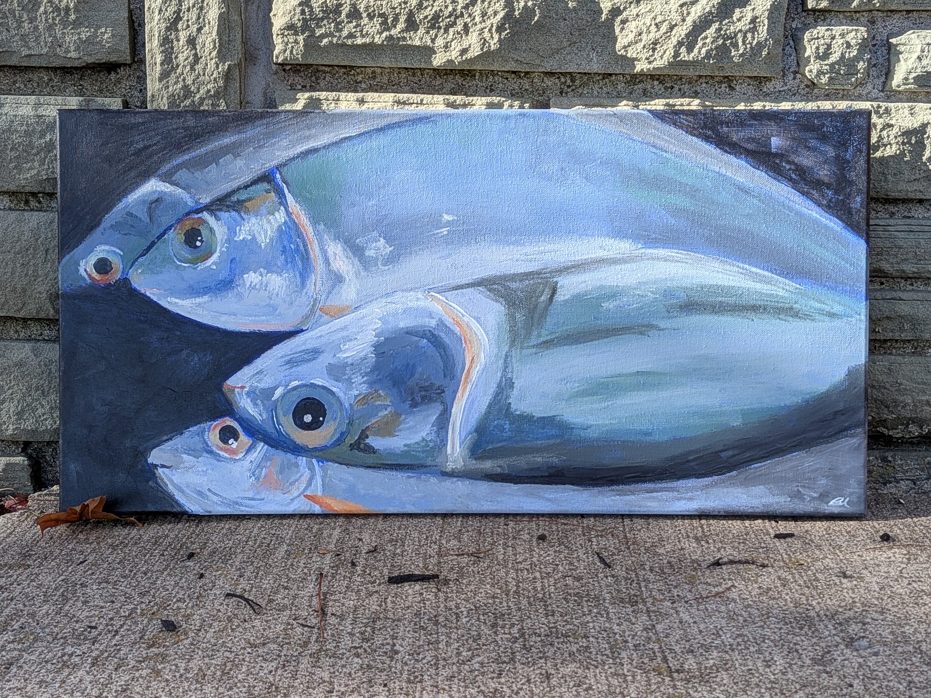 "Something's a Bit Fishy" product image (1)