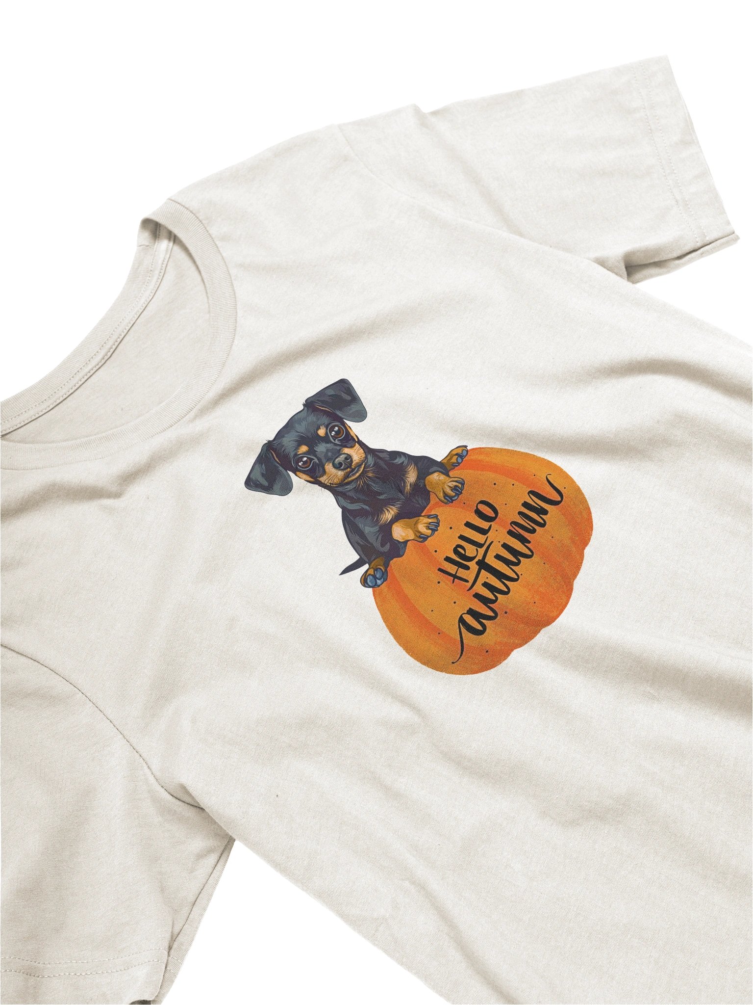 Hello Autumn Chiweenie Graphic Tee - Sit Stay Slay Collection product image (1)