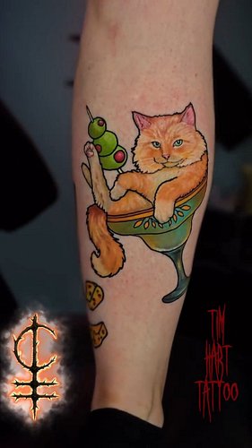 He just a cool cat