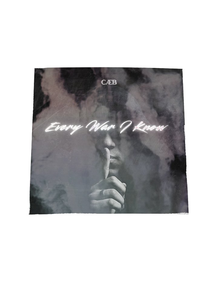 CAEB "Every War I Know" Holographic Sticker Sheet product image (2)