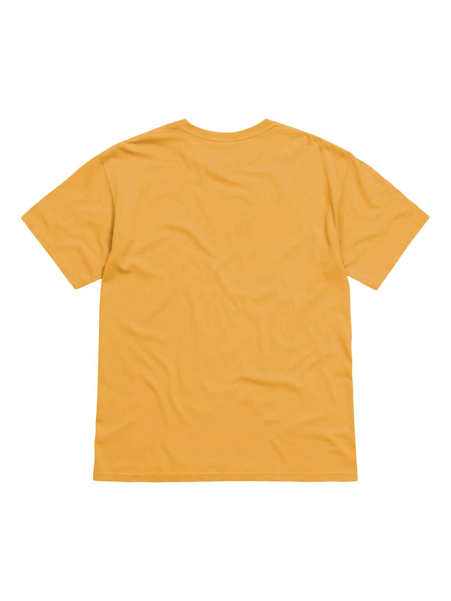 Sex Ed Dept. T-Shirt - Mustard product image (5)