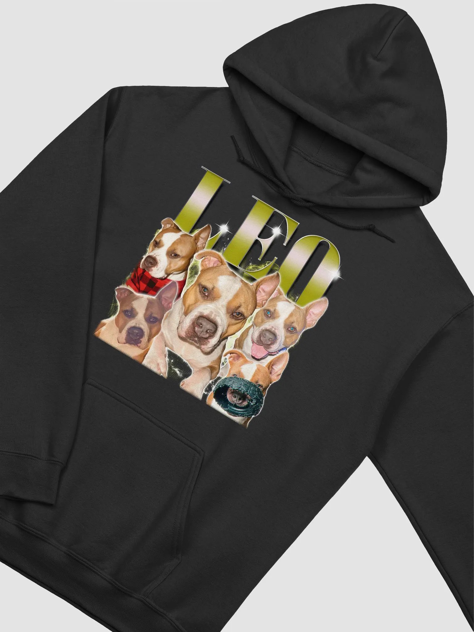 LEO HOODIE product image (26)