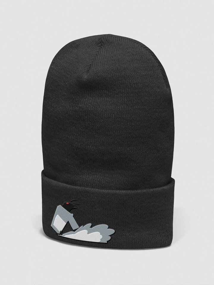 bin nation beanie product image (2)