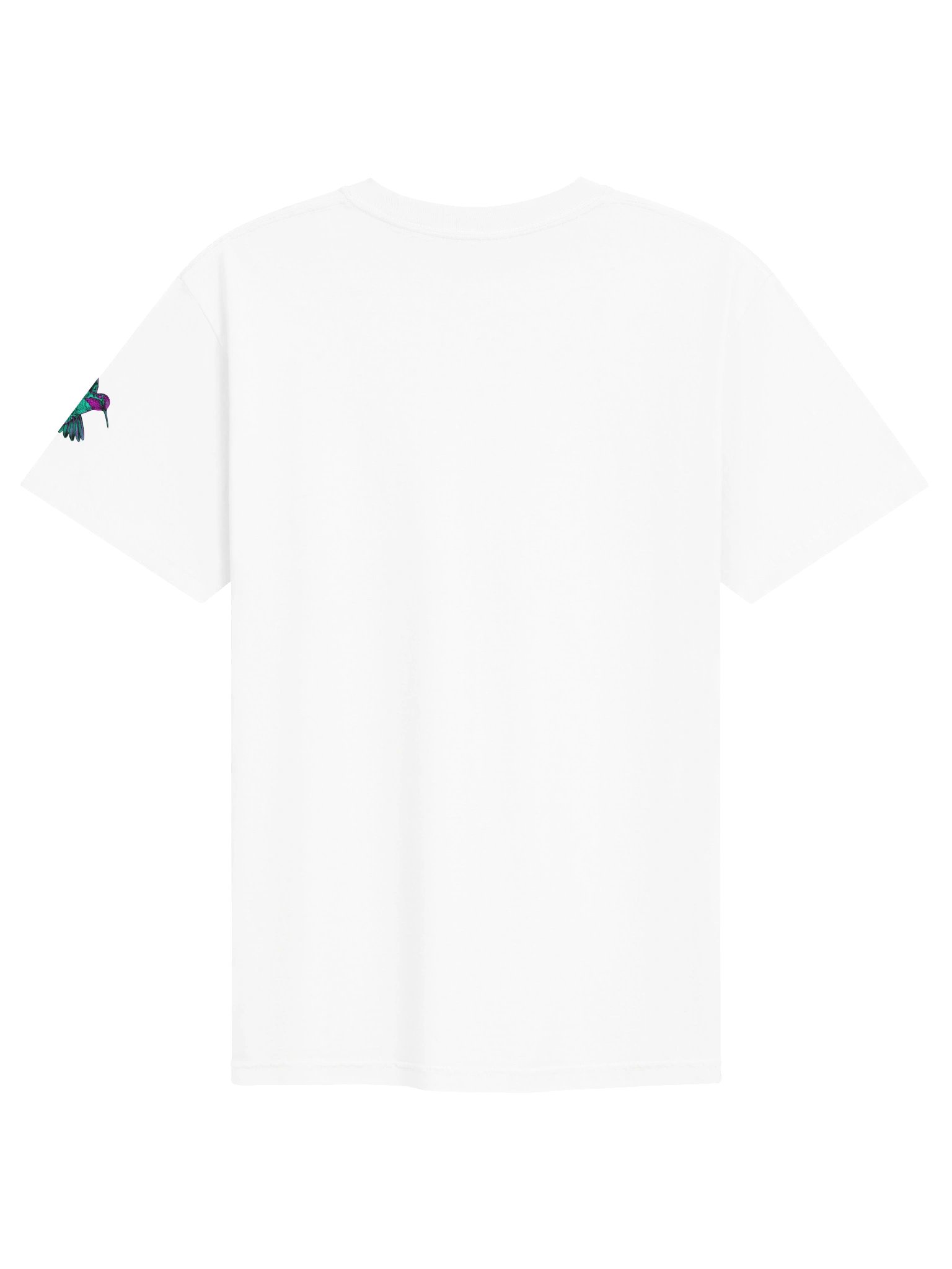 ANNA'S HUMMINGBIRD product image (8)