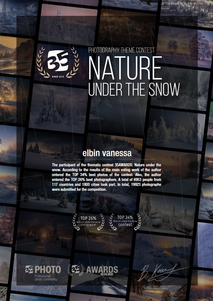 Fine Art - Winter Flow - Cascade de Vegay - Limited Edition product image (3)