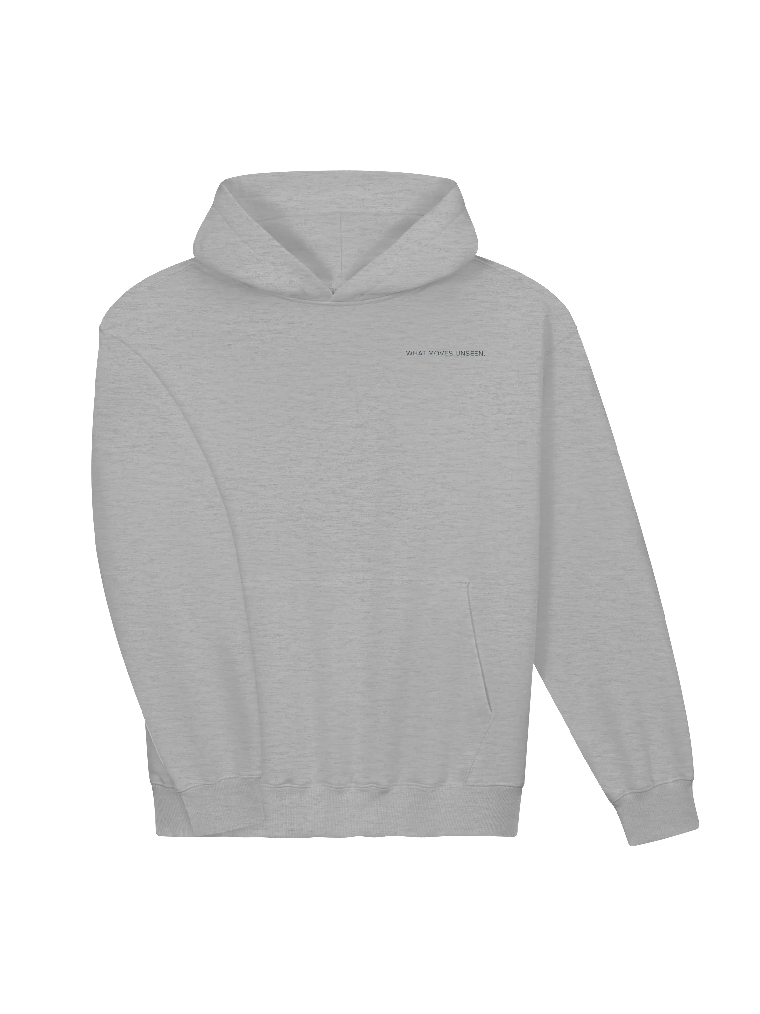 What Moves Unseen — Premium Heavyweight Hoodie product image (6)