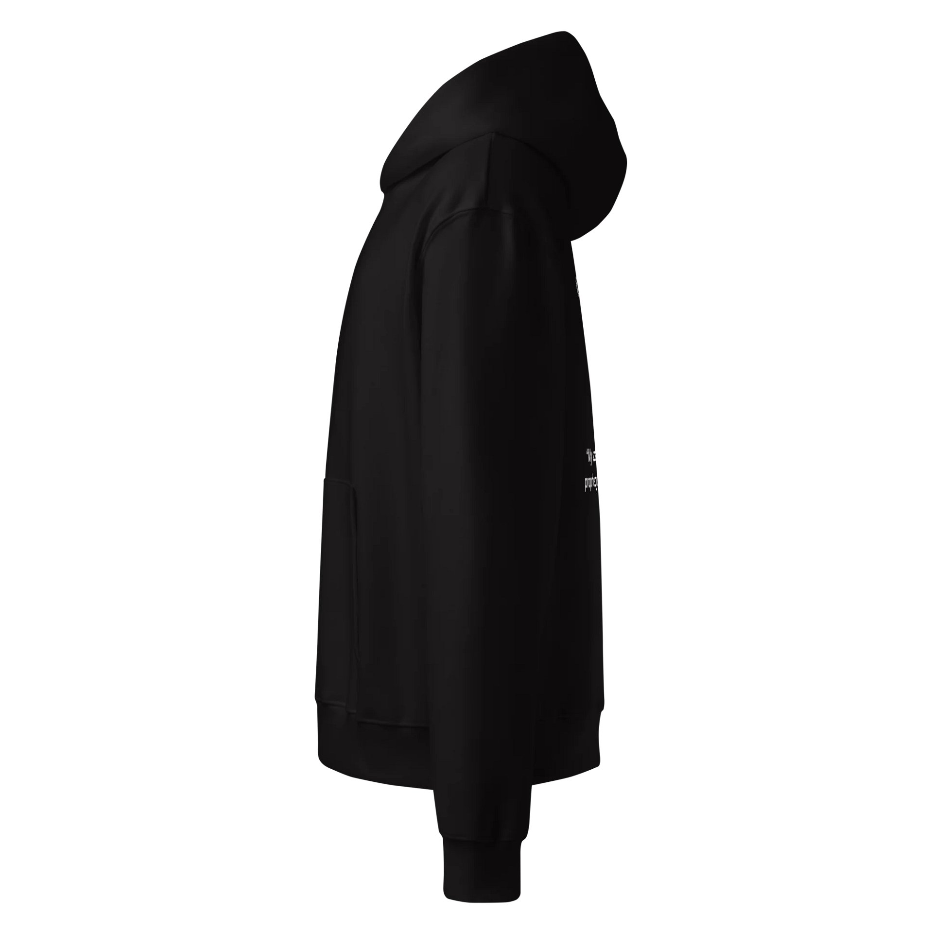 Raven Oversized Hoodie product image (4)