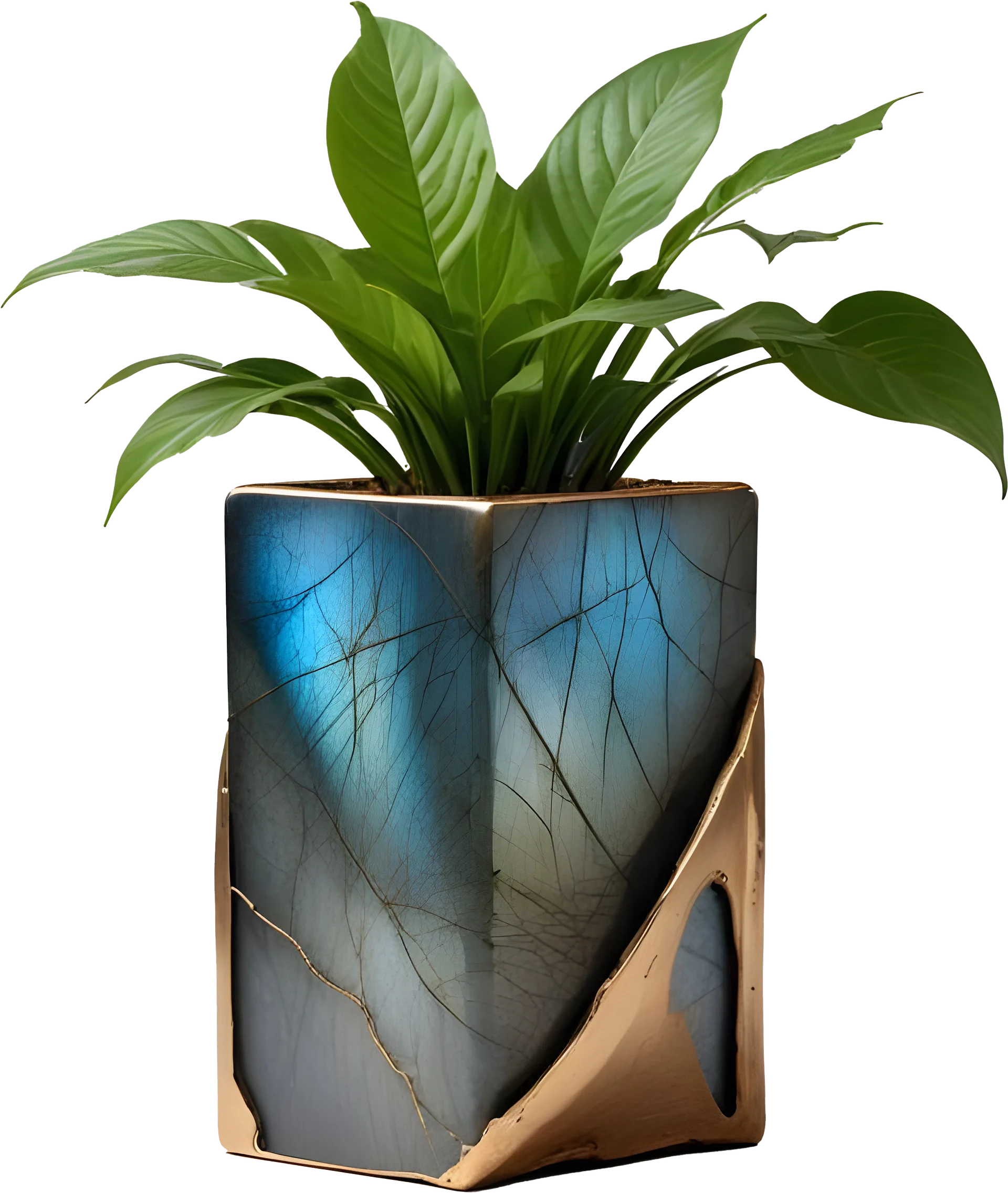 Stellar Luxe – Labradorite Textured Bronze Planter PNG product image (1)