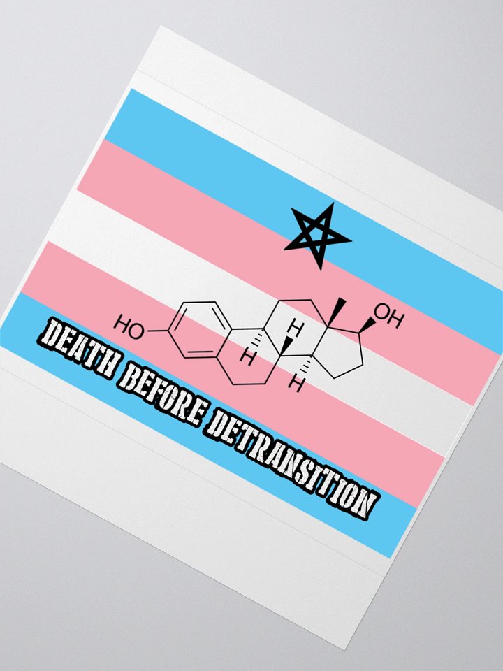 Death Before Detransition (E, sticker edition) product image (2)