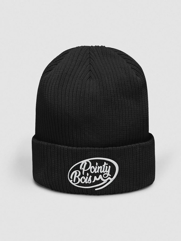 Pointy Bois Beanie product image (3)