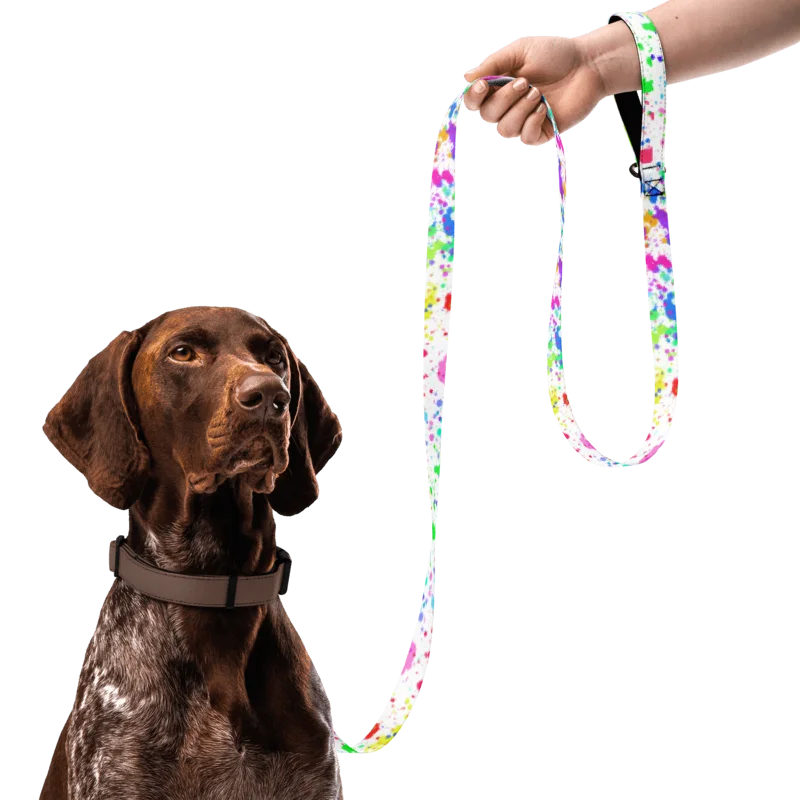 PRIDE Rainbow Splatter Pet Leash product image (3)