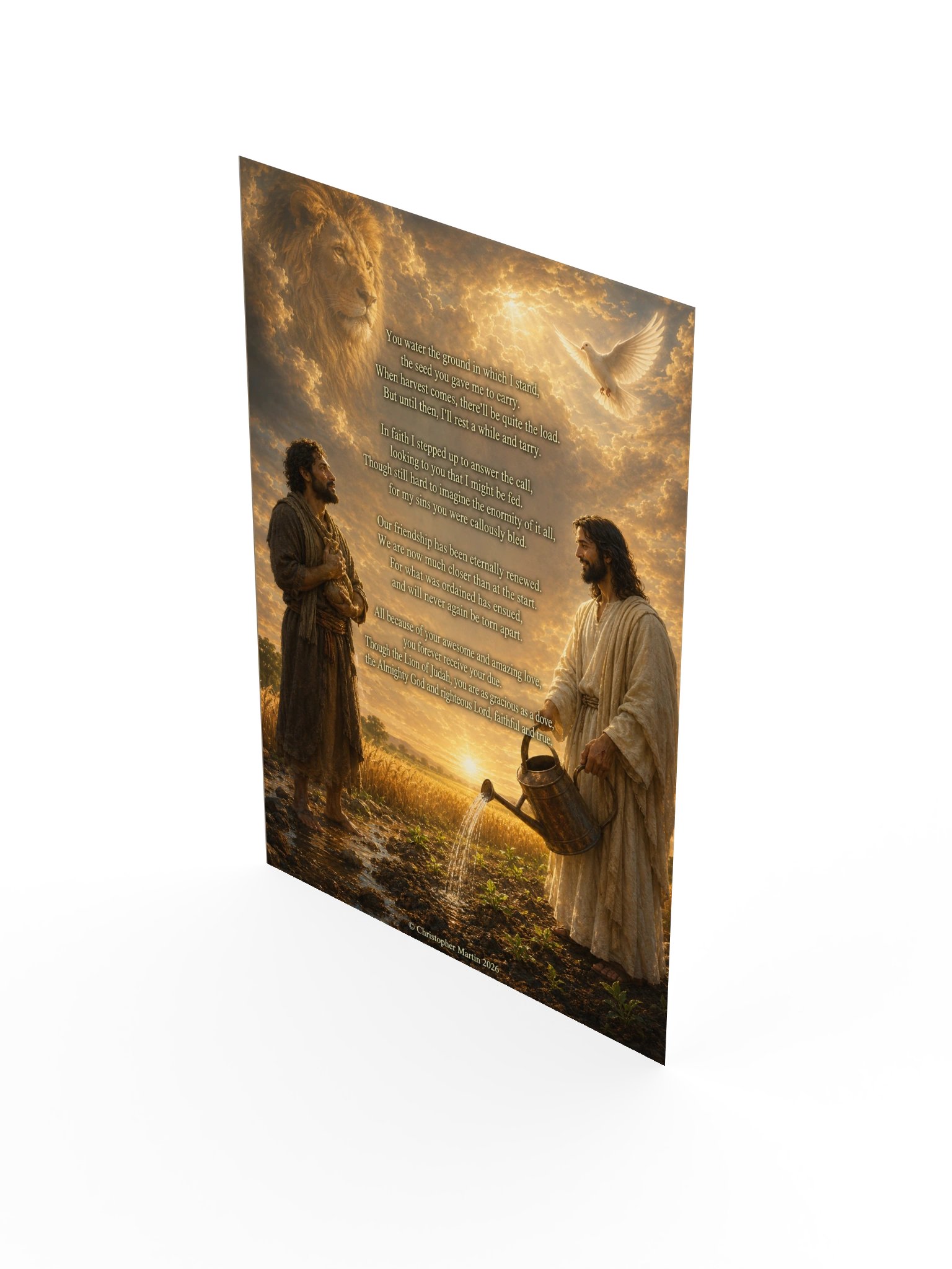 Abundant provision product image (3)