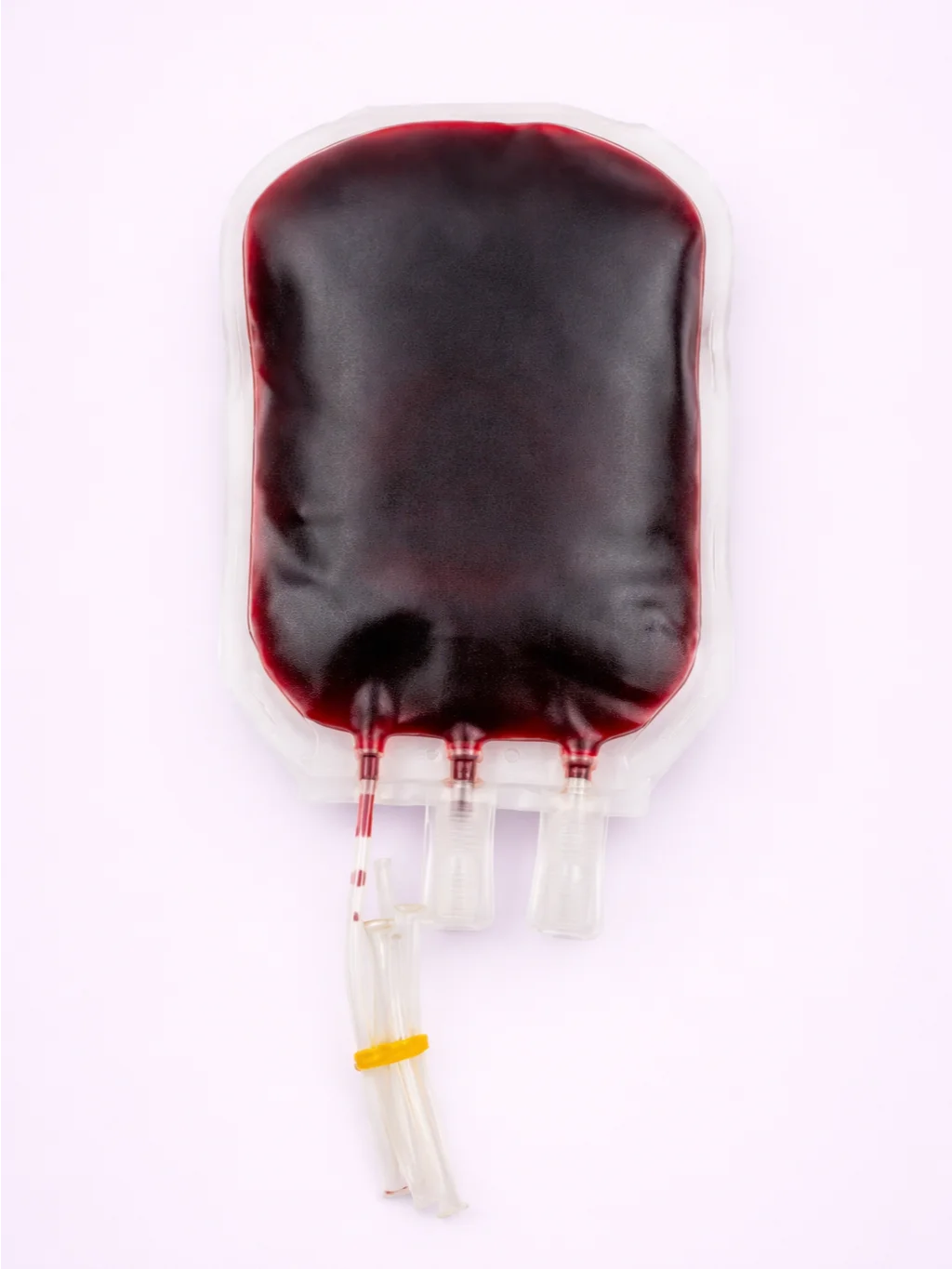 Venipuncture Training Model product image (4)