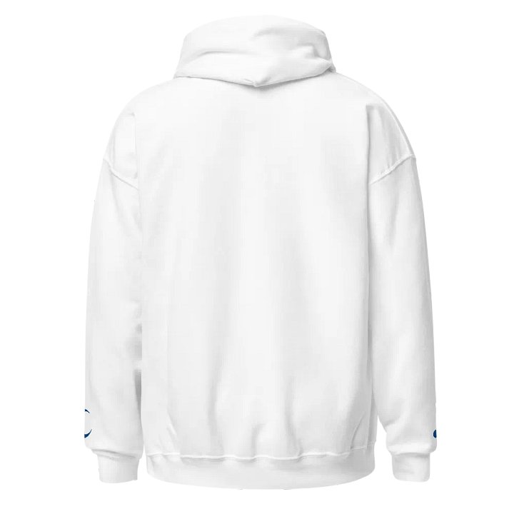 Embroidered "Malfunction" Hoodie product image (2)