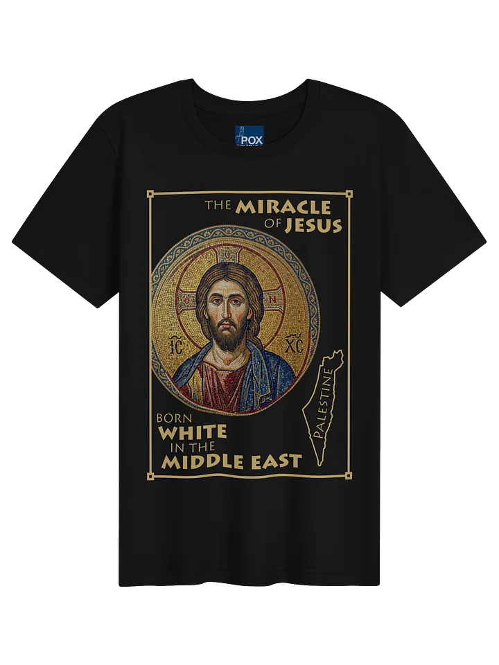 The Miracle of Jesus product image (1)