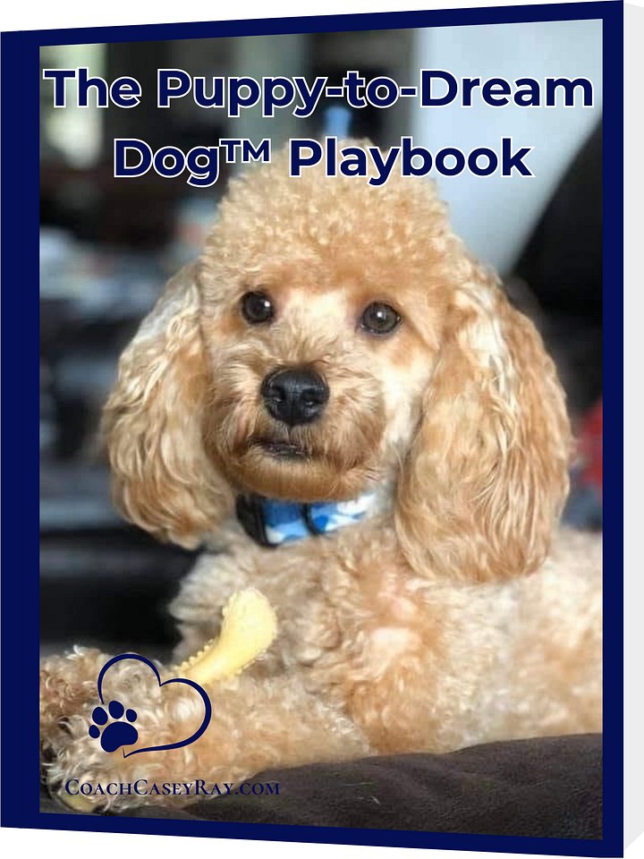 Coach Casey's Puppy-to-Dream Dog™ Playbook product image (1)