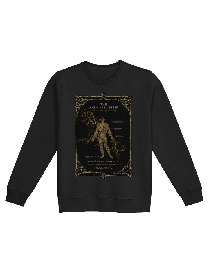 Gothic Anatomy Series: Animate Vessel XIII Sweatshirt product image (1)