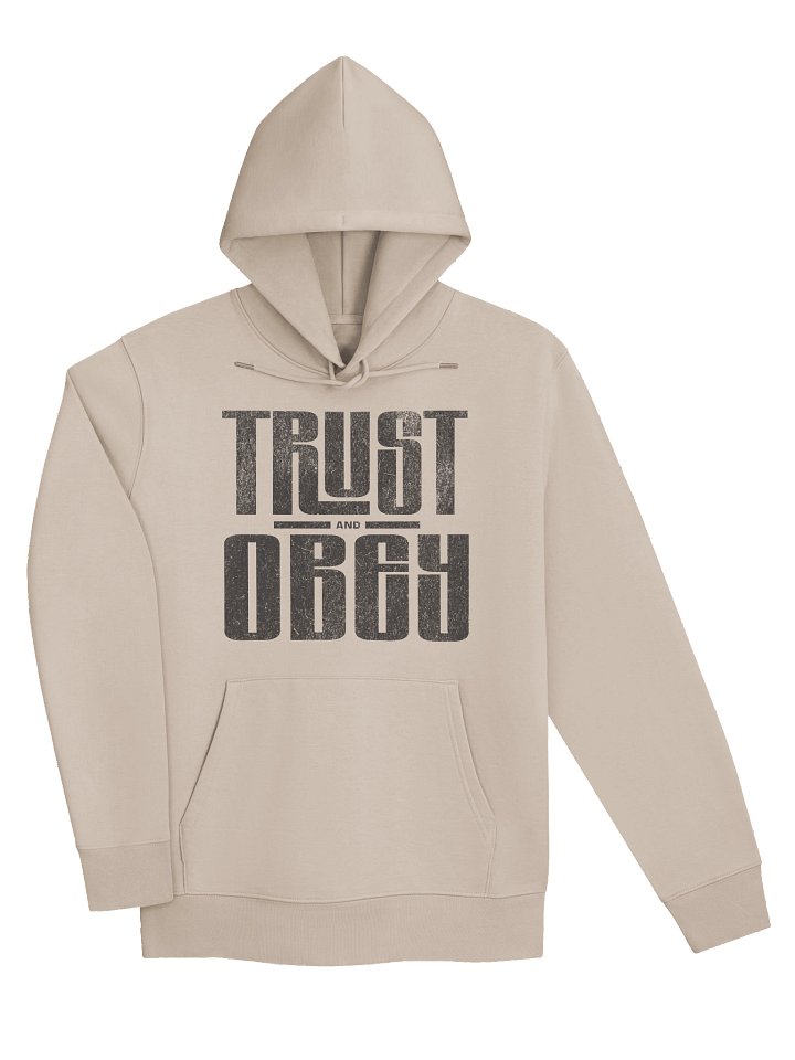 TRUST AND OBEY — Heavyweight Unisex Organic Hoodie product image (2)