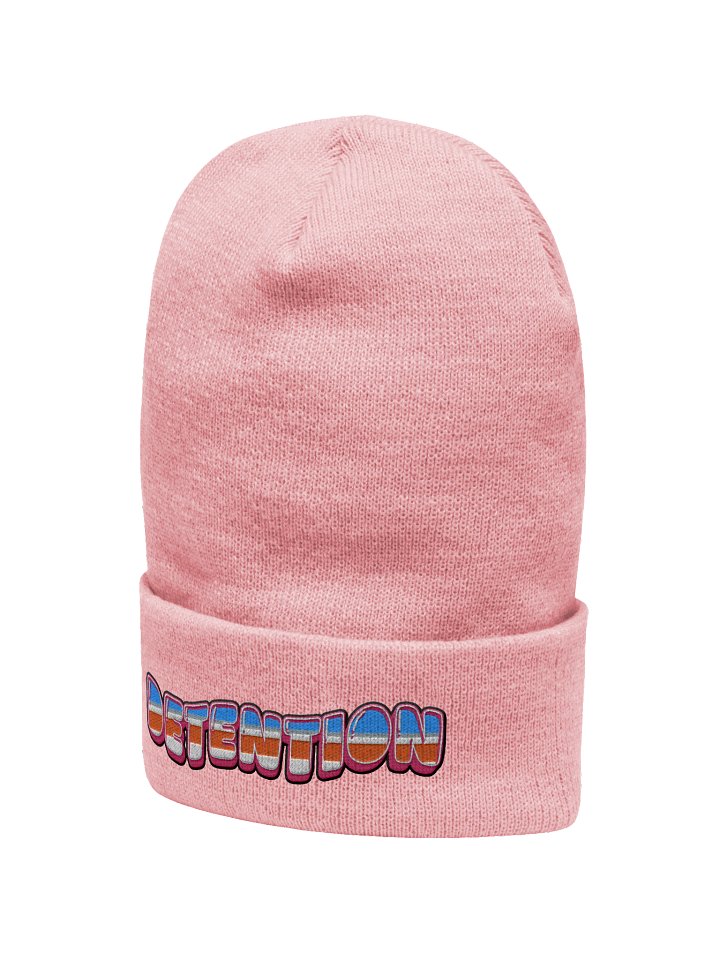 Beanie product image (10)