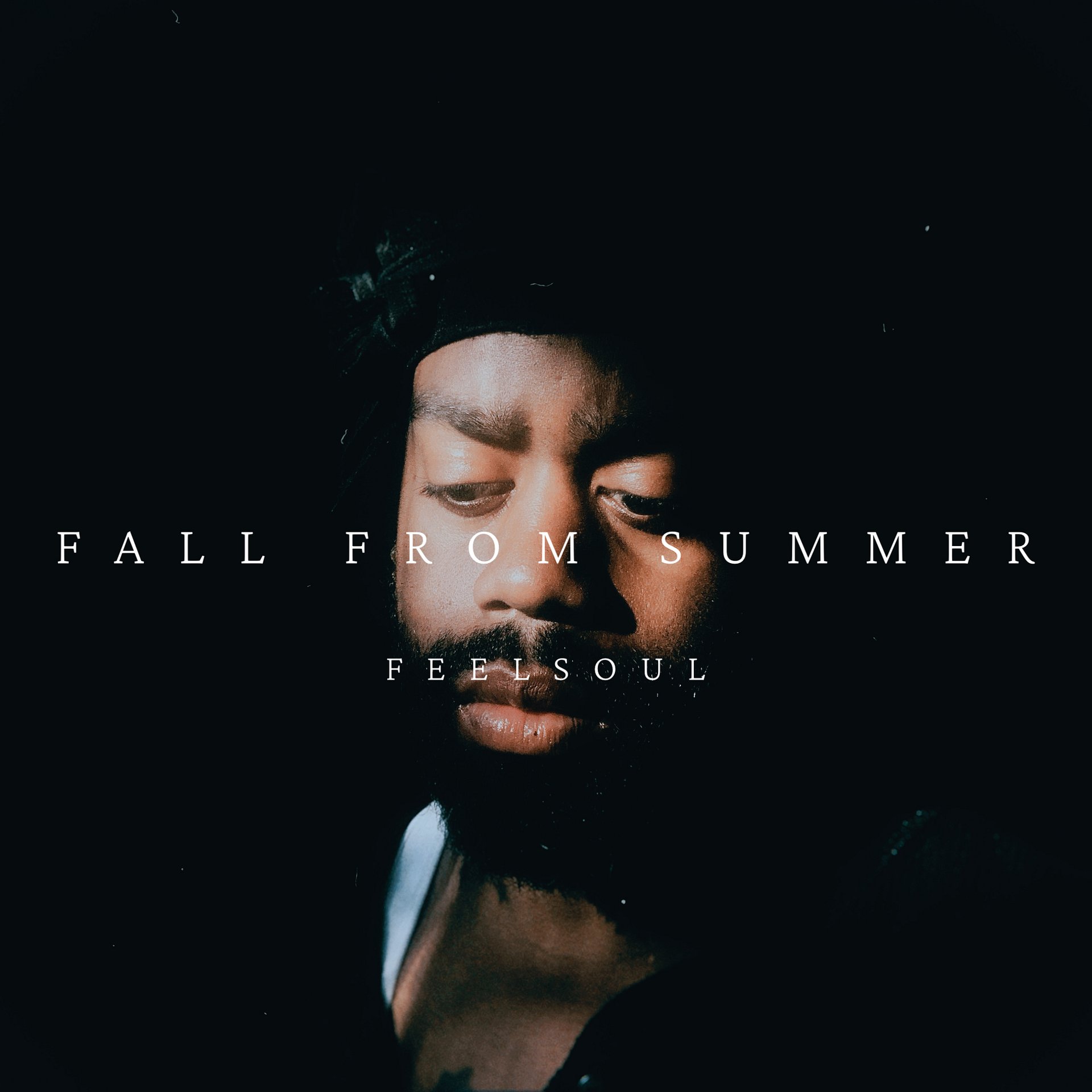 FALL FROM SUMMER product image (1)
