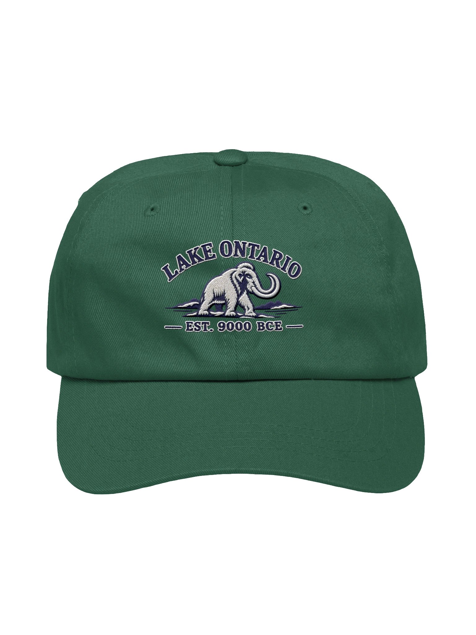 Lake Ontario Mammoth Premium Hat | Spruce product image (1)