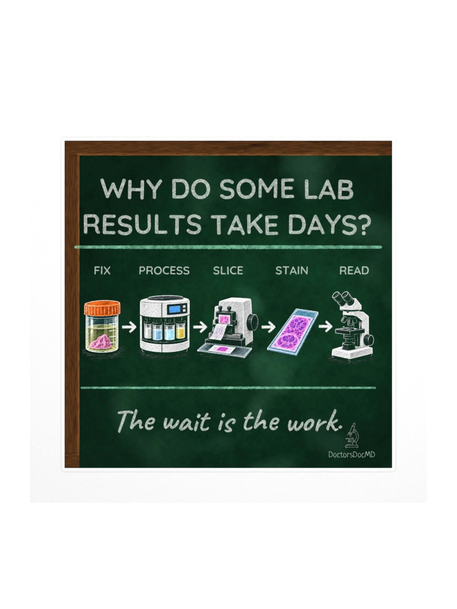 DoctorsDocMD - Why Lab Results Take Days Sticker product image (1)