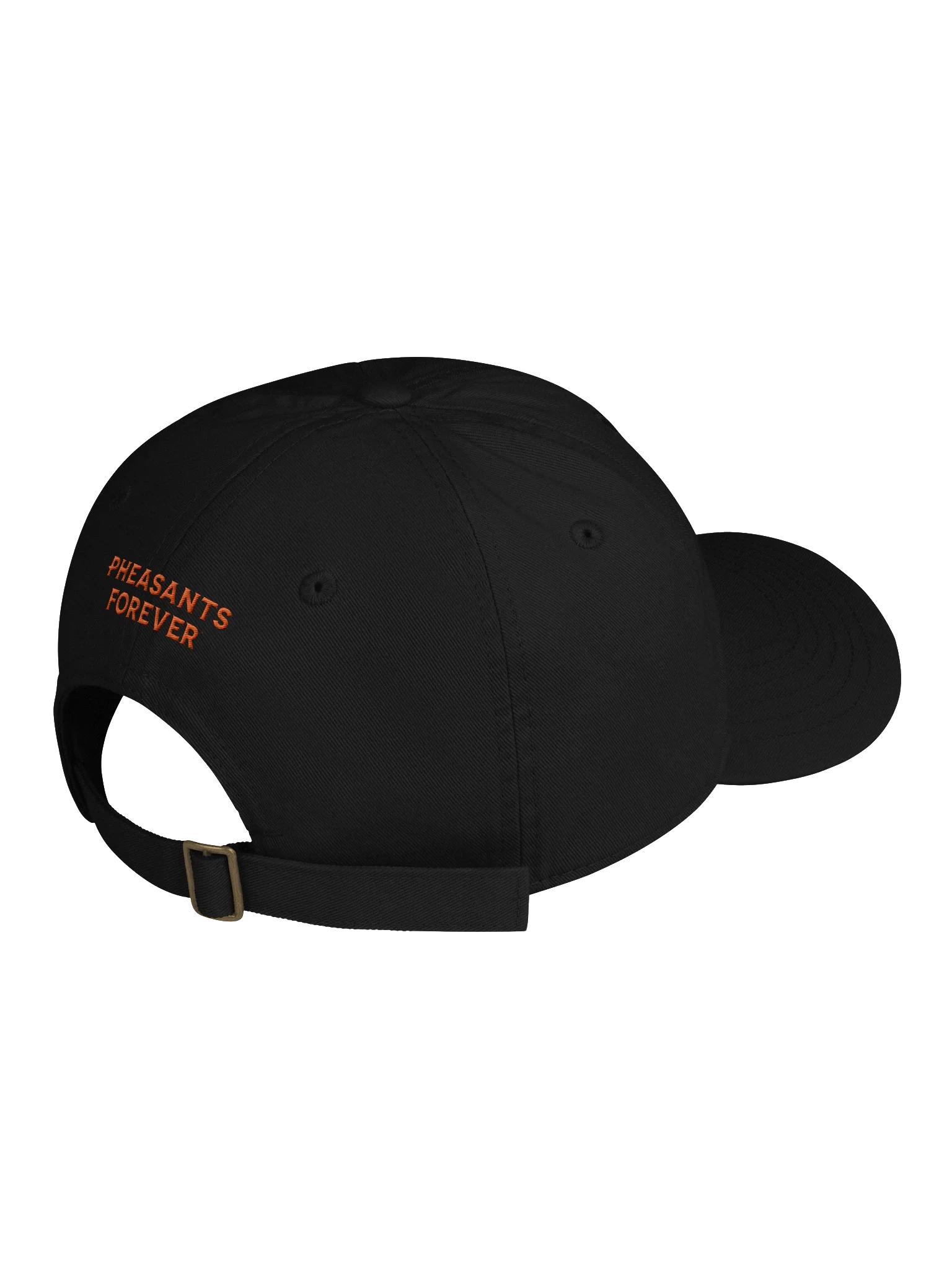 BFPF Font Dad Cap product image (4)
