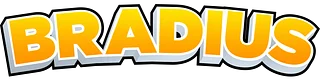 Bradius Store