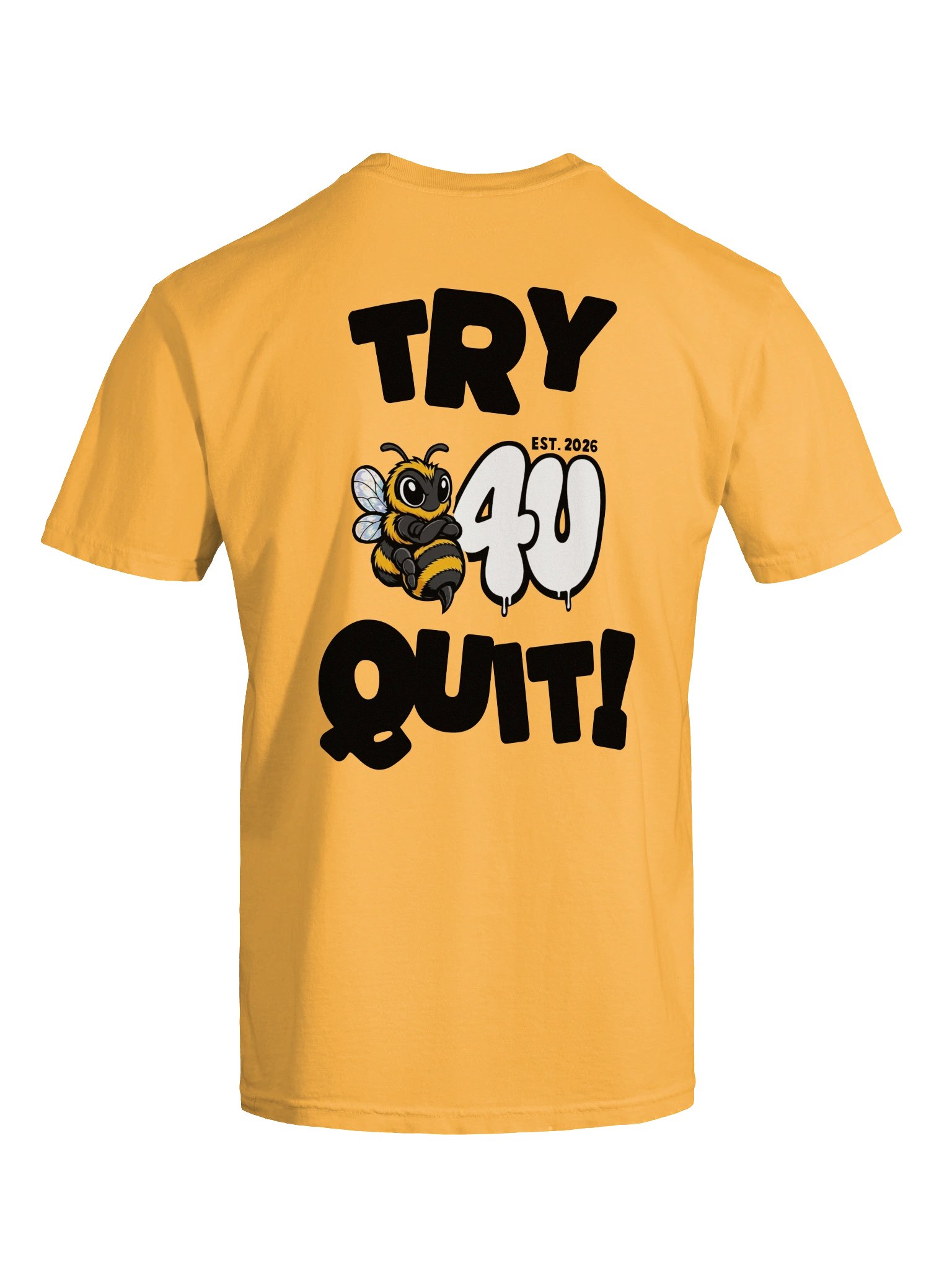 TRY BEFORE YOU QUIT Graphic Tee product image (7)