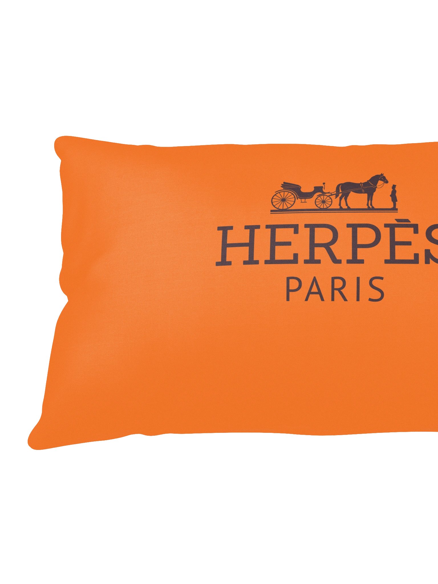Herpès Pillow Original product image (2)